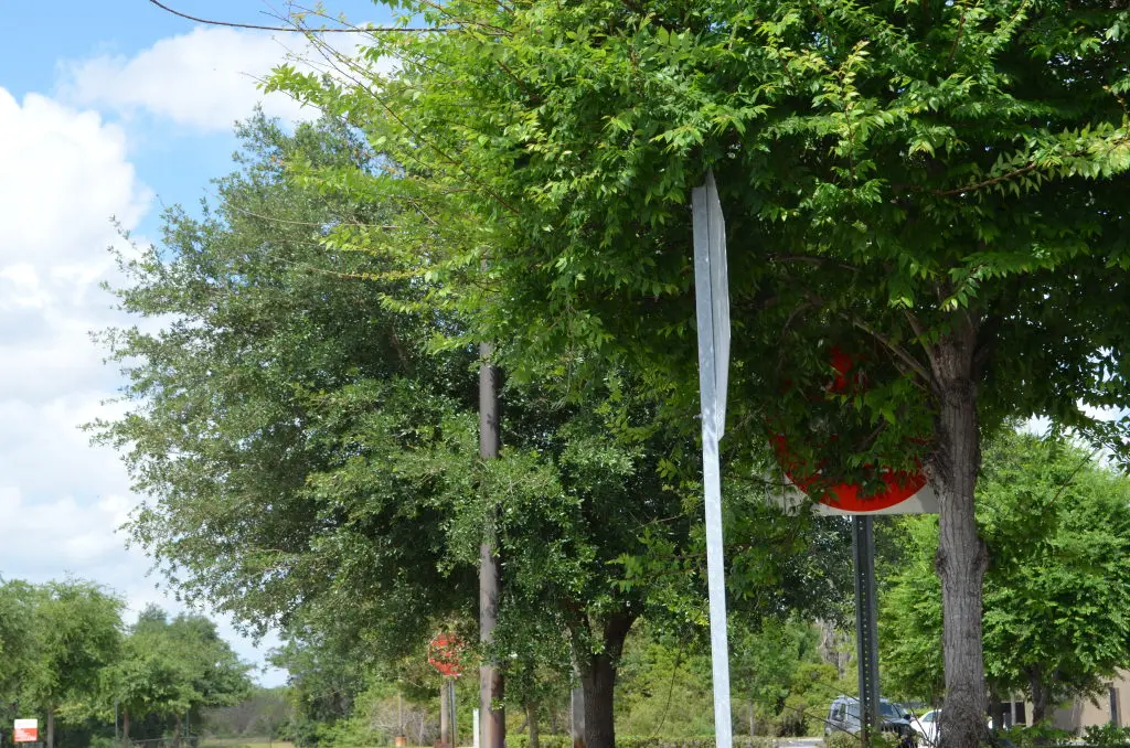 RailEyes Urban Roads deployment.